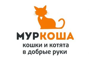 приют для кошек муркоша москва